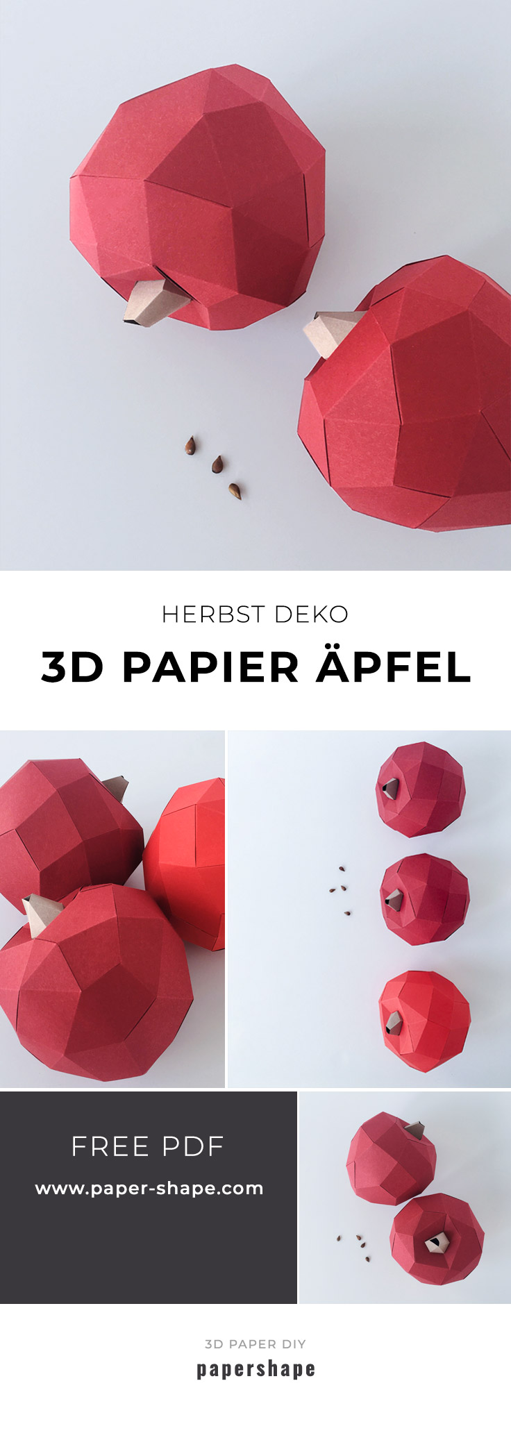 Apfel Herbstdeko basteln aus Papier in 3d mit kostenloser Vorlage. PaperShape #diy #papershape #herbstdeko'