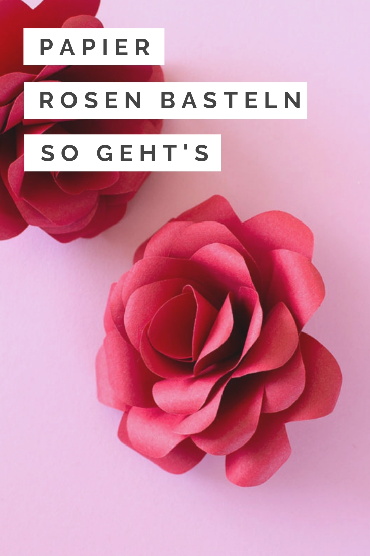 Rosen basteln aus Papier mit Anleitung #bastelnmitpapier #papierblumen #papierrose