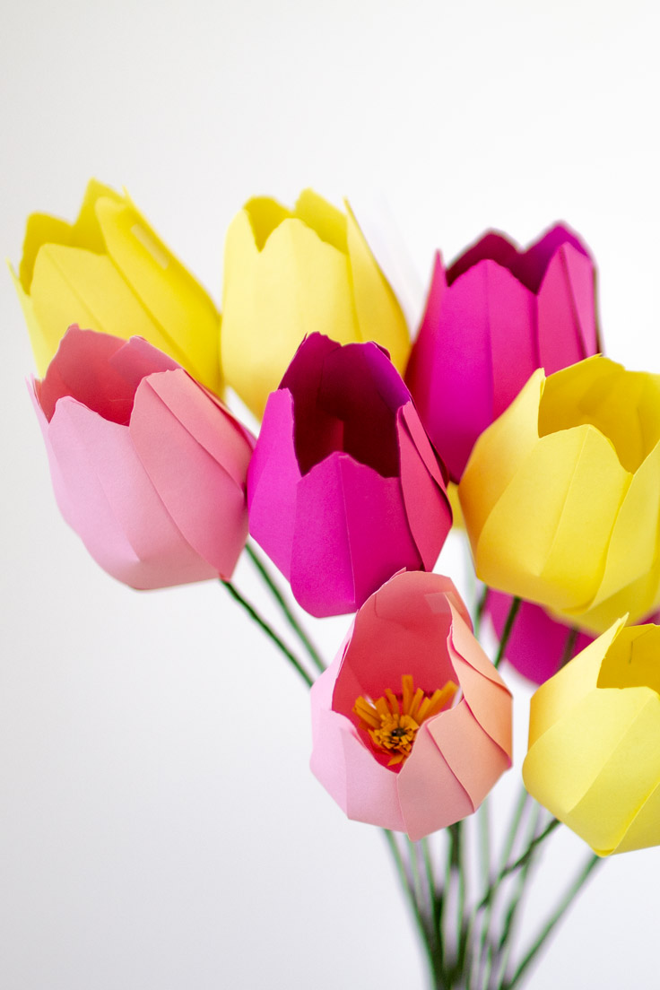 Papier Blumen Basteln Einfache Tulpen Mit Vorlage Papershape