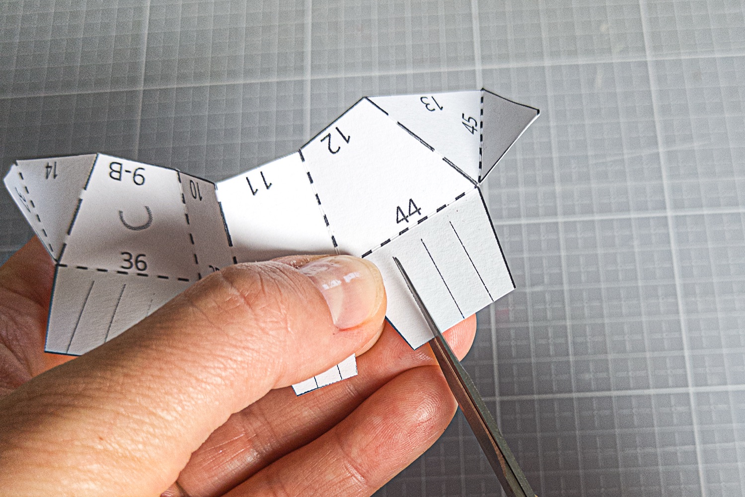 Cutting paper fringes for the Westie’s fur