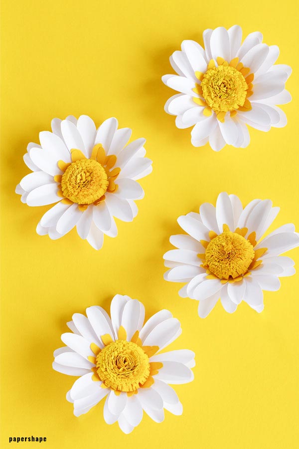 Four papercrafted daisies on a yellow background