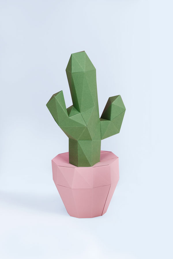 DIY 3d paper cactus  #papershape