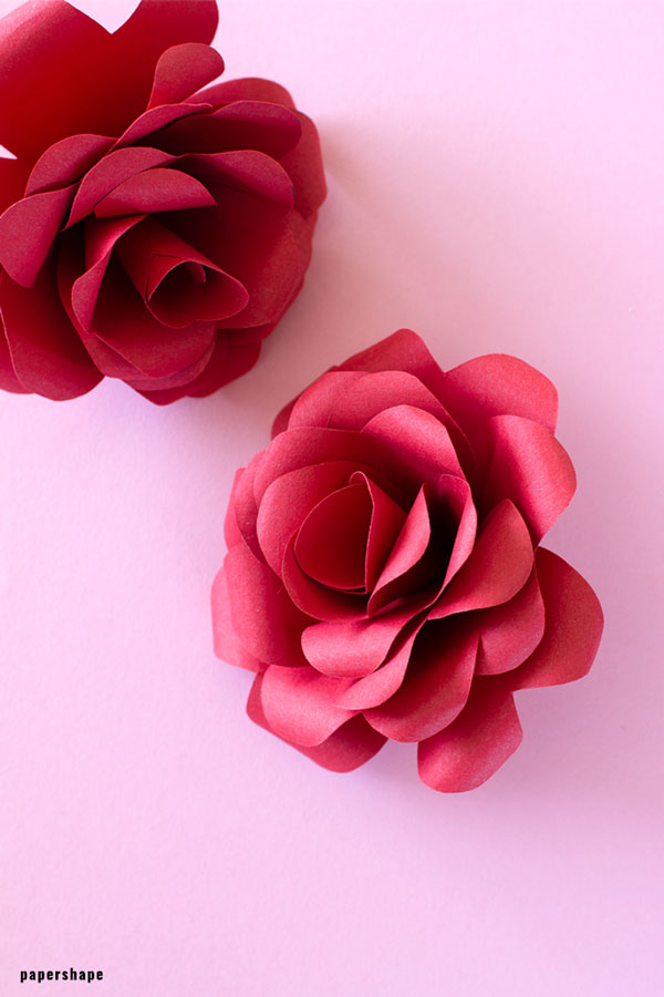 Two papercrafted red roses on a blush background